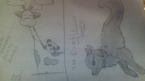 24wynang Flamingoofthefarwest here are the drawings i tried for you two (in the dark btw)