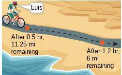 Luis and Raul are riding their bicycles to the beach from their respective homes. Luis proposes tha