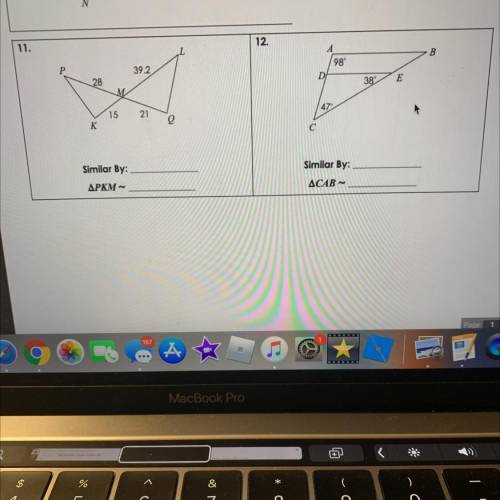 Triangle similarity help pls