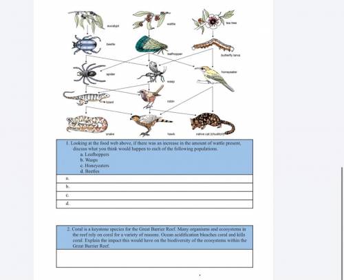 Look at the food web below in the pic, if there was an increase in the amount of wattle present, di