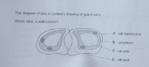 The diagram shows a student's drawing of guard cells.

Which labe is not correct?A cell membraneJO