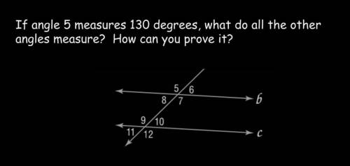 Please please help. If a angle measure 130 degrees what are the rest of the measurements?