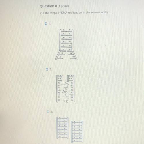 Can anybody help me with this?