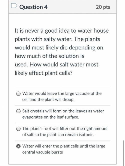 It’s never a good idea to Water house plant with salty water plants would most likely die depending
