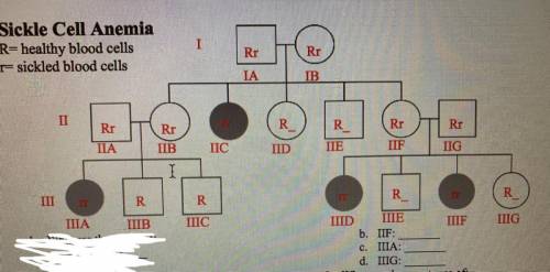 Who are the parents of:
b. IIF:
c. IIIA:
d. IIIG