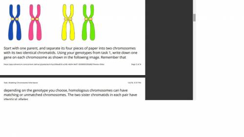 I WILL MARK BRAINLIEST

Modeling Chromosome Inheritance
In this task, you will model chromosome in