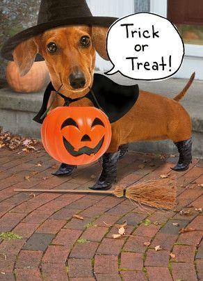 Have a great day and stay safe this Halloween