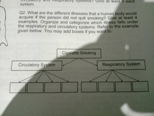 What are the difference illnesses that a human body would acquire if the person did not quit smocki
