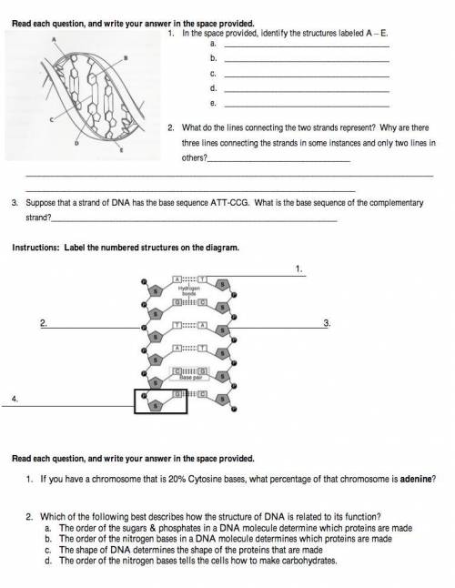 Help!!! I really need help with this worksheet!