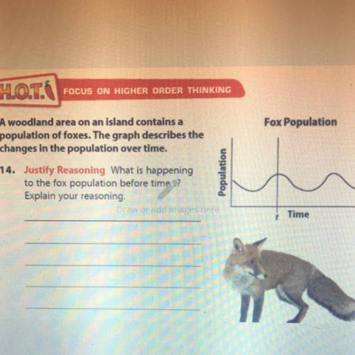 Fox Population

A woodland area on an island contains a
population of foxes. The graph describes t