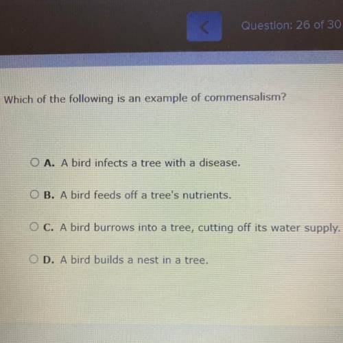 Which of the following is an example of commensalism?