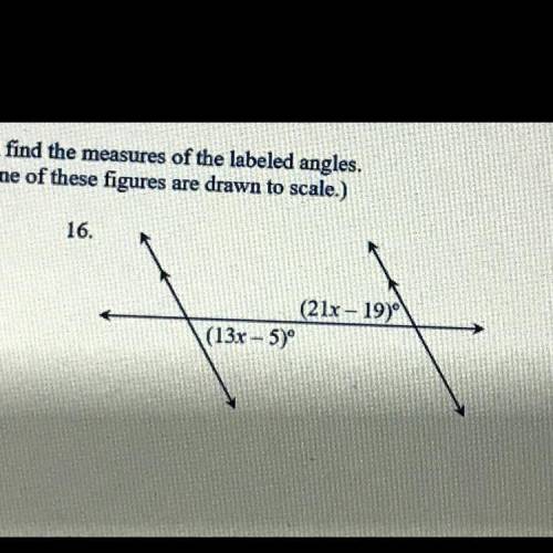 (21x – 19)

(13x - 5)º
Please help! Solve for the variable and then find the measures of this angl