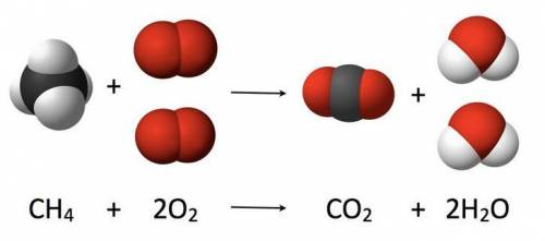 How many Oxygen atoms are there on the products side of the equation?

A)1 
B)2 
C)3 
D)4