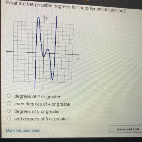 What are the possible degrees for the polynomial function?
X
