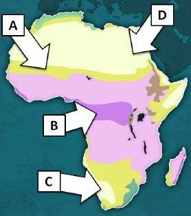What type of climate/ecosystem is found in Region D on the map above?

A.
desert
B.
grassland
C.
r