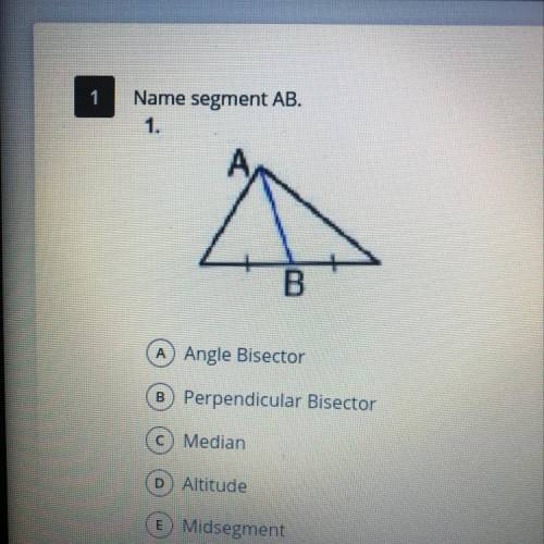 1

Name segment AB.
1.
B
A Angle Bisector
B Perpendicular Bisector
C Median
D Altitude
E Midsegmen