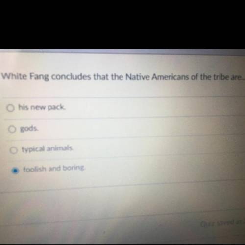 White Fang concludes that the native Americans of the tribe are ...

A.gods
B.his new pack 
C. Typ