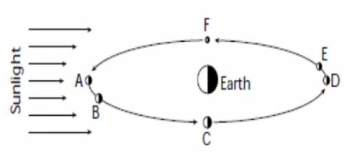 Using the picture, in what position (A or D) must the moon be to cause a solar eclipse? Explain you
