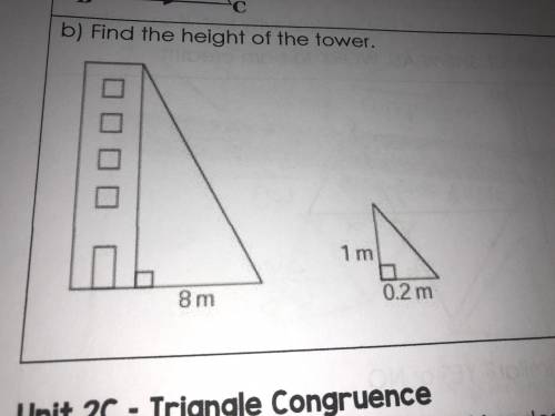 Following triangles are similar