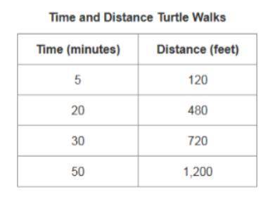 The table represents a relationship between the time a turtle walks and the distance the turtle tra