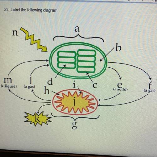 Label the following diagram (this is a diagram showing cellular respiration).