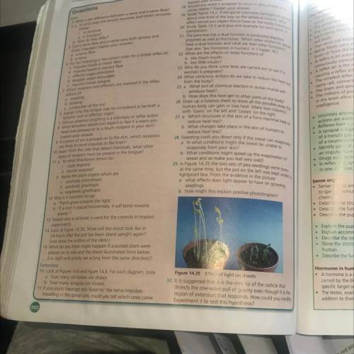 Please answer all if u can! (IGCSE bio book third edition made by Dave Hayward page 202)