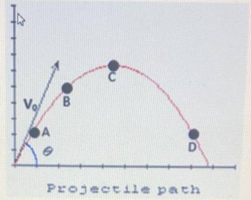 Use the diagram below modeling a football kicked from a horizontal surface B

What is the vertical