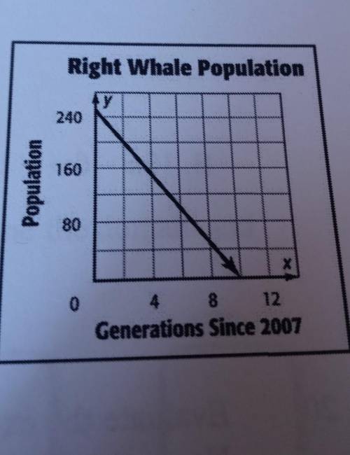 Intercept the Y intercept of the graph on the right

a in 2007 the whale population is about 240 b