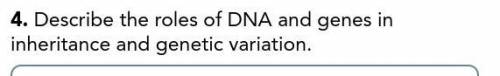 Describe the roles of DNA and genes in inheritance and genetic variation.