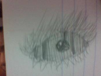 L need this to be drawn

the second pic is a drawing I did of a eye not gonna lie my 4 yr old brot