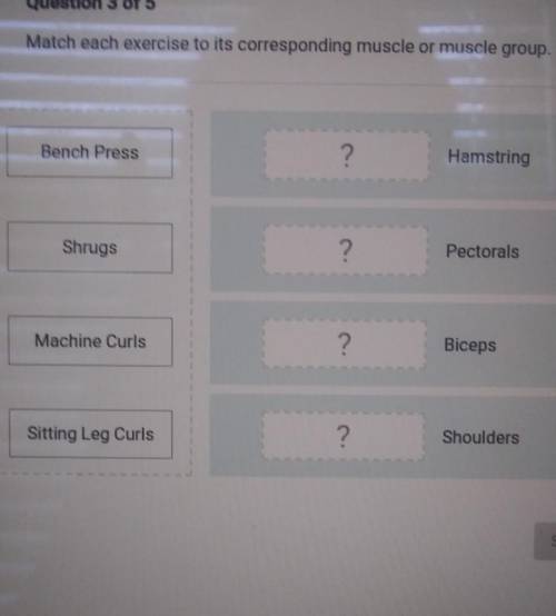Question 3 of 5 Match each exercise to its corresponding muscle or muscle group. Bench Press ? Hams