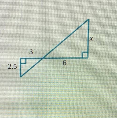 Find the length of X