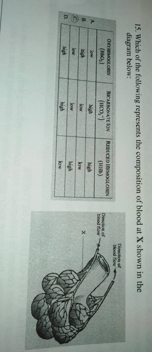 Can someone explain how C Is correct this diagram.. Like how is bicarbonate low?