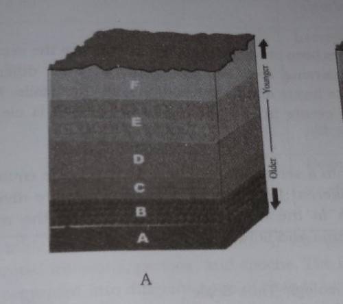 What laws of stratigraphy does the picture in letter A tell us?