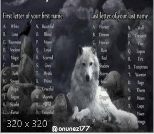 Who ever is a furry figure out u'er wolf name