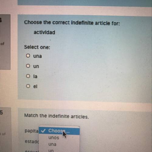 Choose the correct indefinite article for actividad una un la el