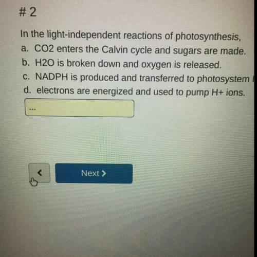 In the light-I defendant reactions of photosynthesis
