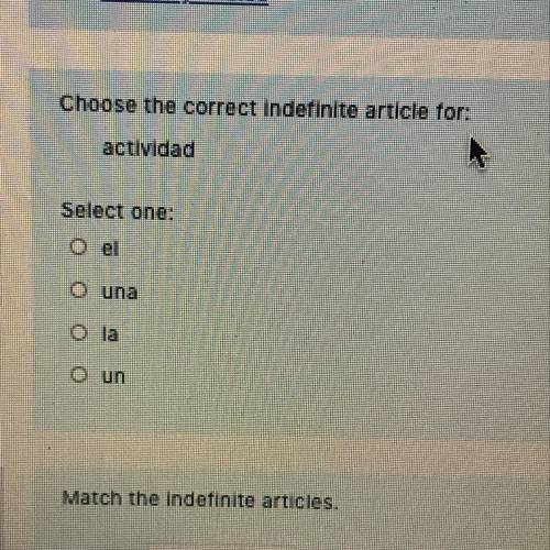 Please help Actividad choose the correct indefinite article for el una la un