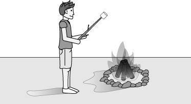 The picture below shows a campfire using heat energy to cook a marshmallow.

What type of energy i
