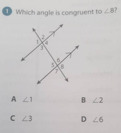Which angle is congruent to angle 8?