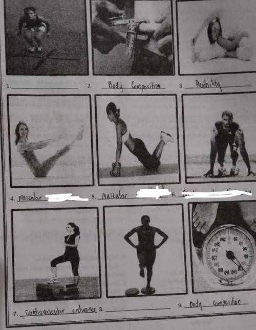Name that Fitness: Identify and classify the pictures shown based on the components of health-relat