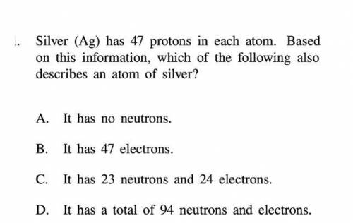 Please help me with this answer if you can!