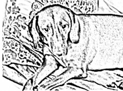 This is a sketch of LoaLong26 , there are also sketches of my dogs.