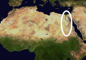 The landform circled on the map above is the __________.

A.
Sahara
B.
Sahel
C.
Nile River Valley