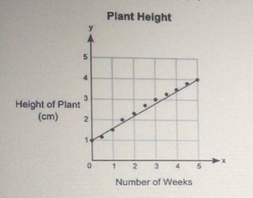 PLEASE HELP!!! picture is the graph for the equation

The graph shows the heights, y (In centimete