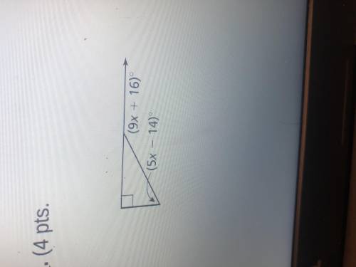 Find the value of x and the measure of the exterior angle