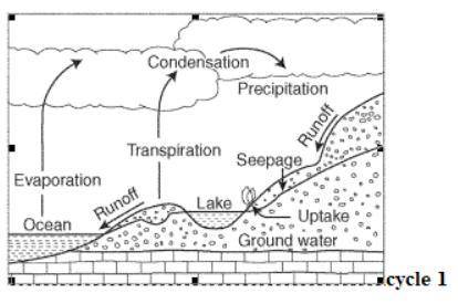 Which of the following steps in Fig 3 involves plants releasing water vapor back into the atmospher