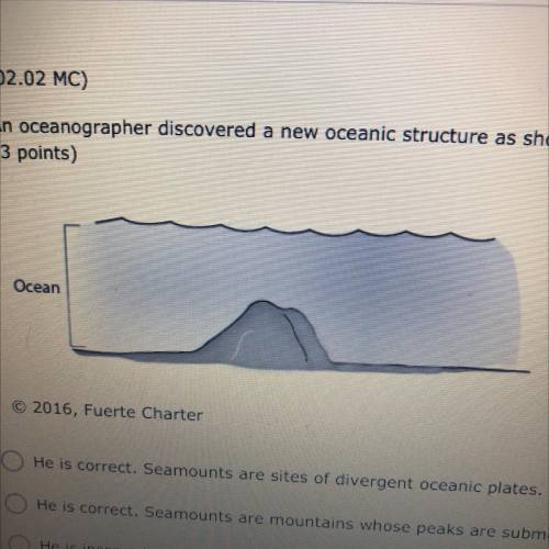 An Oceanographer discovered a new oceanic structure as shown in the figure below. The scientist cla