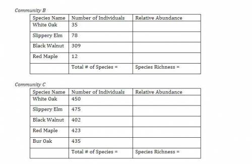 Calculate the species richness (the) and relative abundance (the proportion each species represents