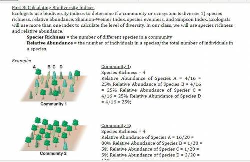 Calculate the species richness (the) and relative abundance (the proportion each species represents